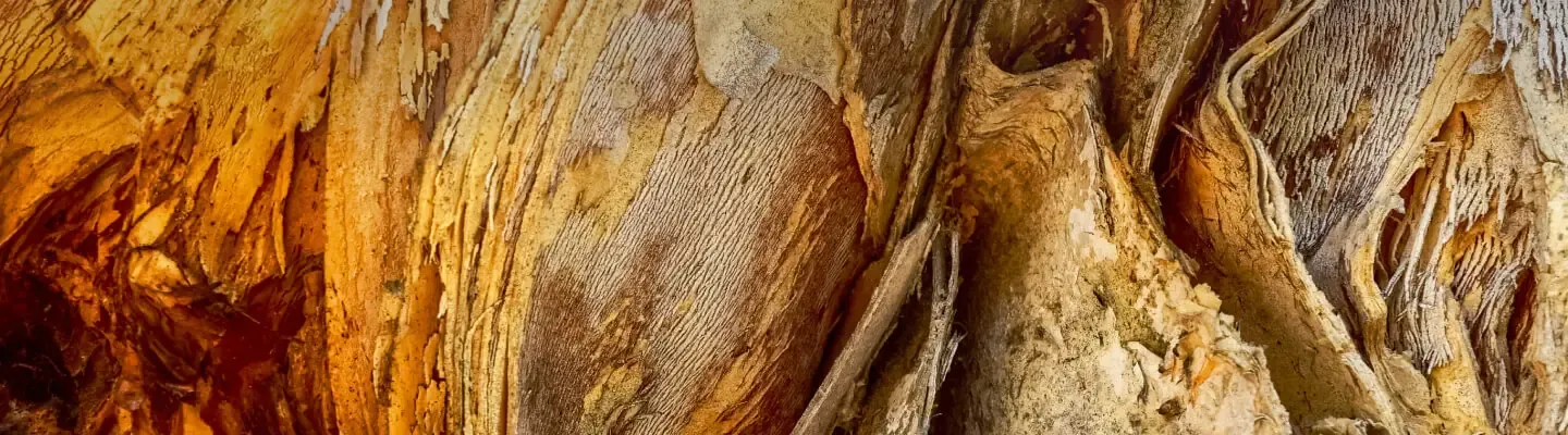 Sims Lifecycle Services GmbH – Ginsheim-Gustavsburg, Hessen